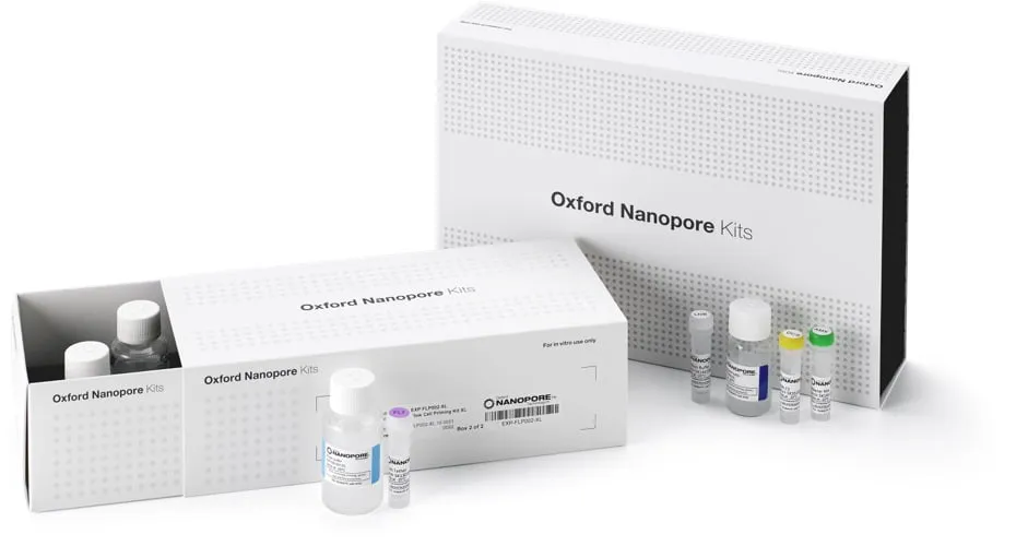 Starting from either total RNA or a poly(A)-enriched (poly(A)+) sample, adapters are ligated onto the RNA strand before a second complementary DNA (cDNA) strand is synthesised during reverse transcription. The cDNA strand is not sequenced but helps increase the sequencing output of native RNA molecules. Sequencing adapters are then attached to the RNA-cDNA hybrid.